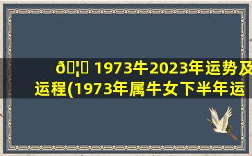 🦆 1973牛2023年运势及运程(1973年属牛女下半年运势2023)